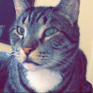 Meet your Posher, Alex